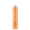 Erayba ABH Repair Shampoo